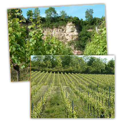 terroir3.png terroir3.png
