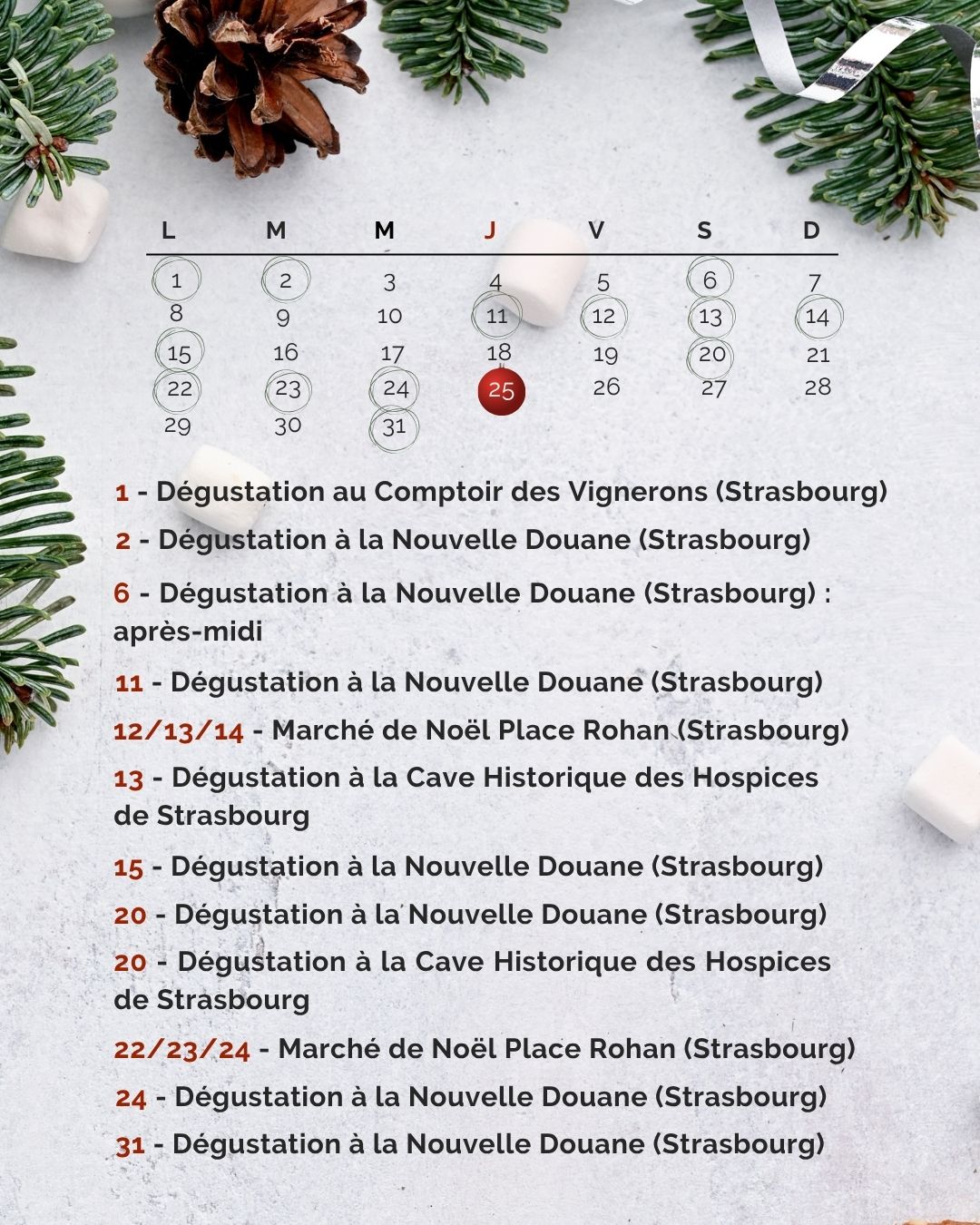 Calendrier_decembre_2025_Site_Internet.jpg (294 KB)
